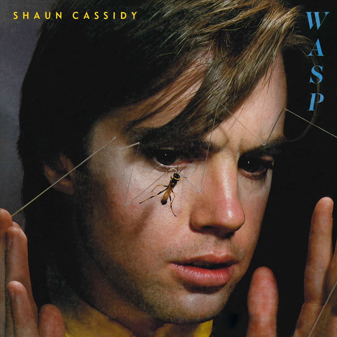 Wasp cover art
