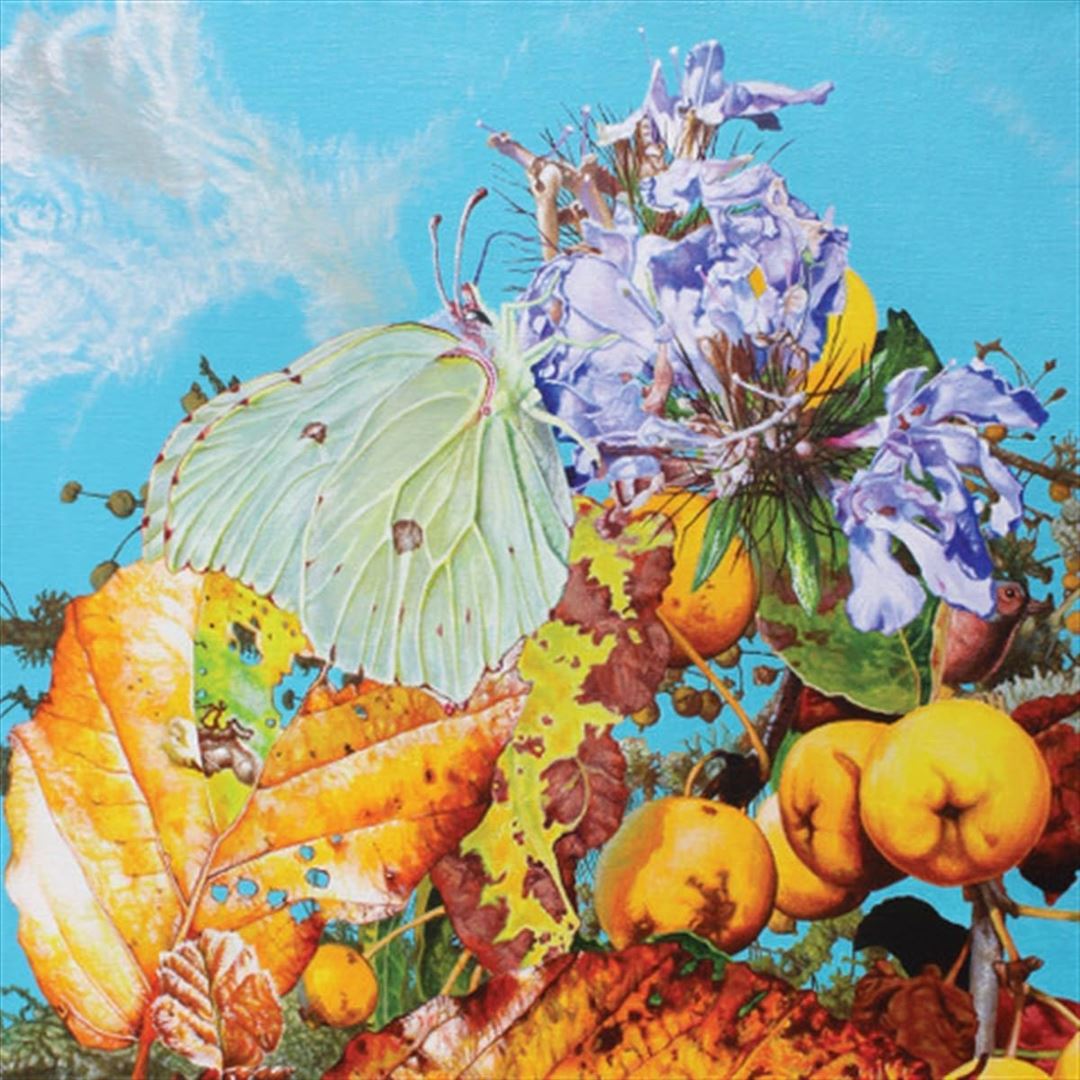 I Saw a Star Behind Your Eyes, Don't Let It Die cover art