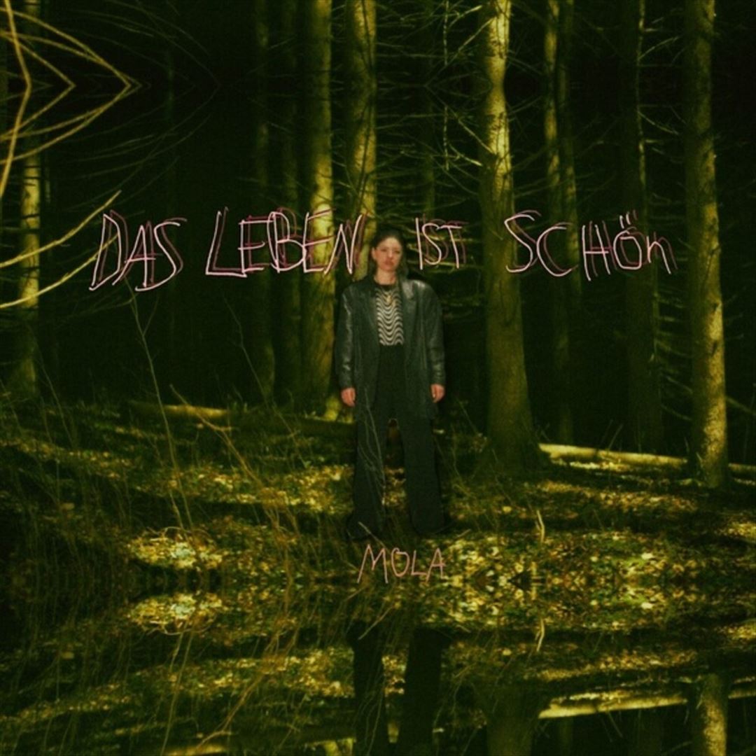 Das Leben ist schön cover art