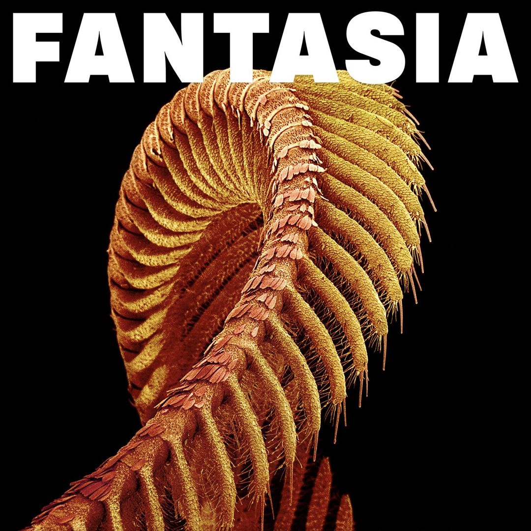 Fantasia [Yellow] cover art
