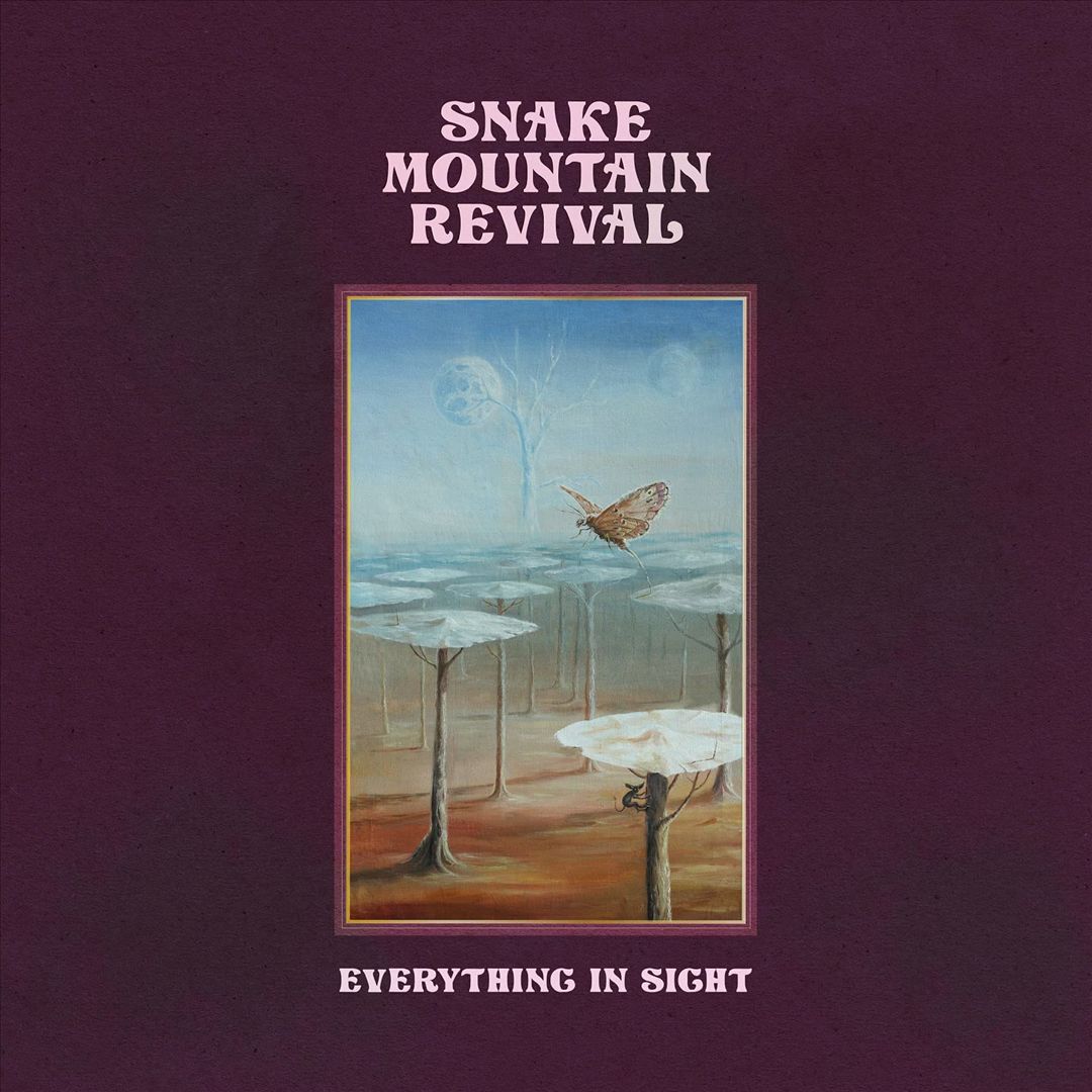 Everything in Sight cover art