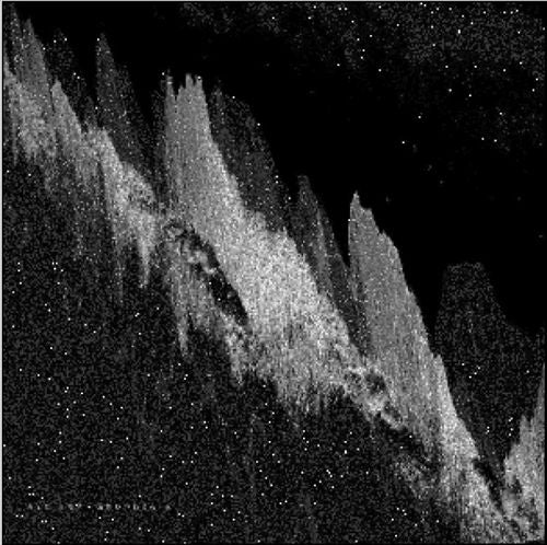 Apophenia cover art