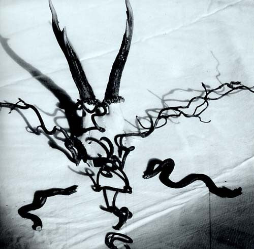 Mortague cover art