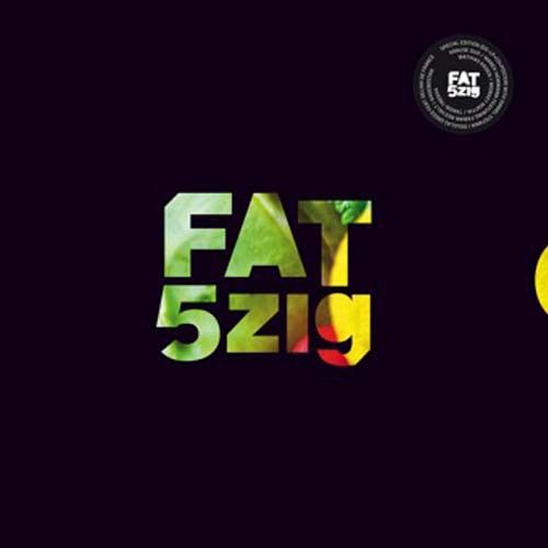 Freude Am Tanzen 5zig Compilation cover art