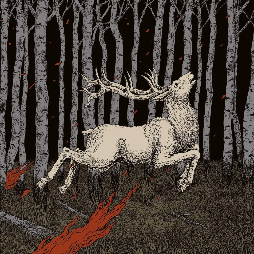Ladoga cover art