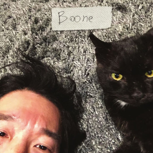 Boone cover art