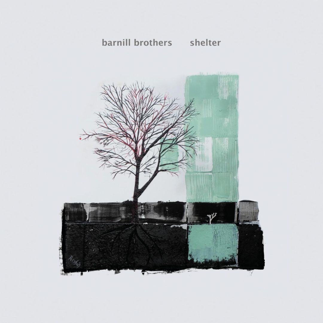 Shelter cover art