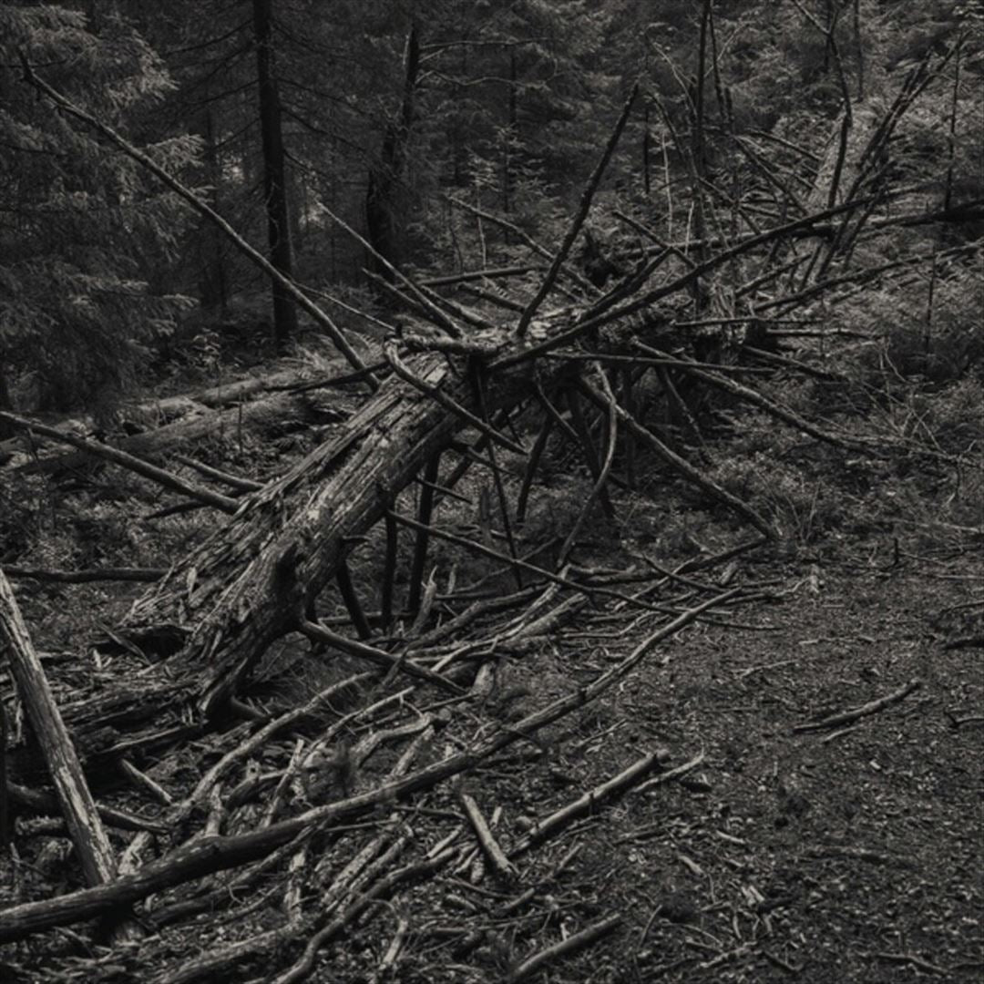 Always I Gnaw cover art