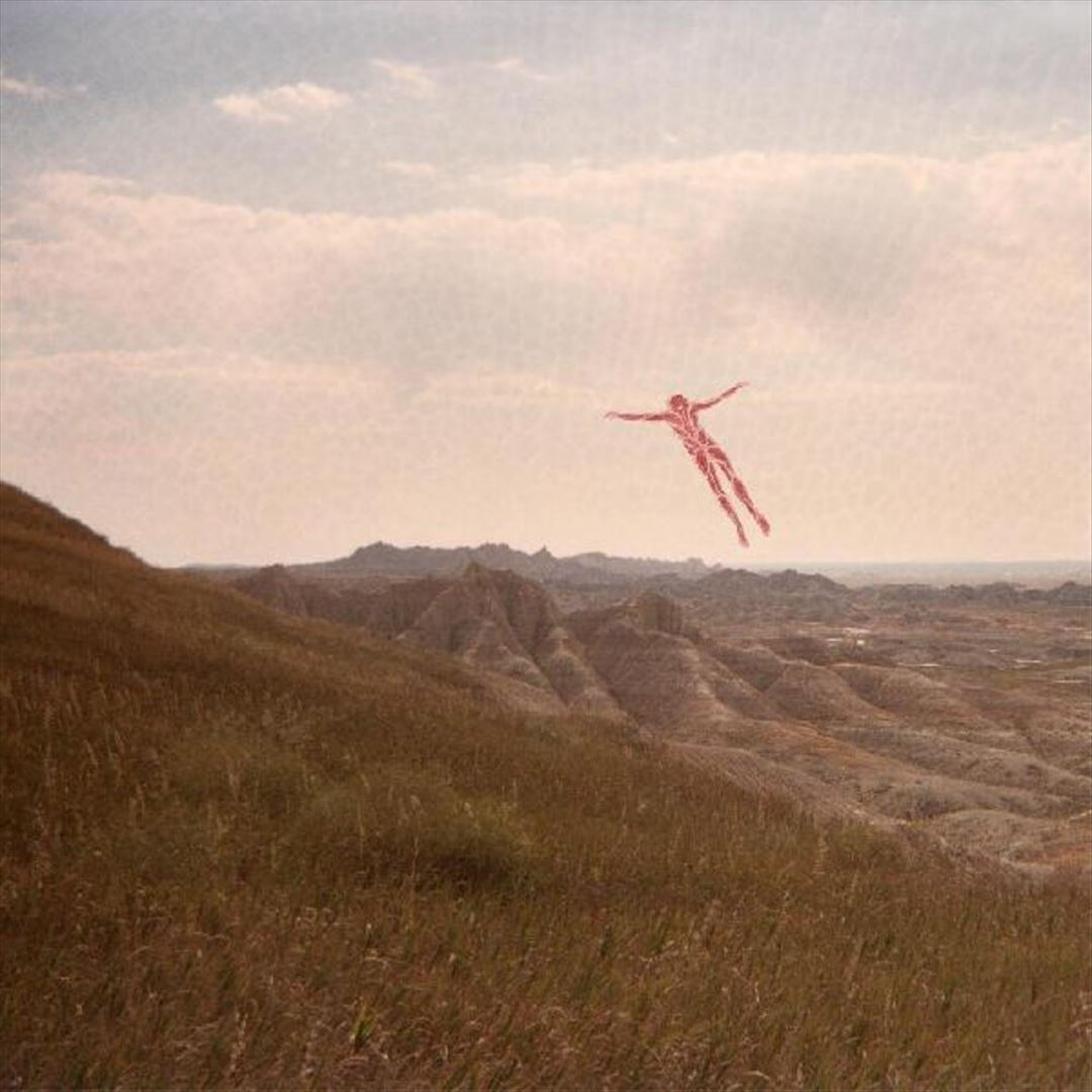 Skinless Takes a Flight cover art