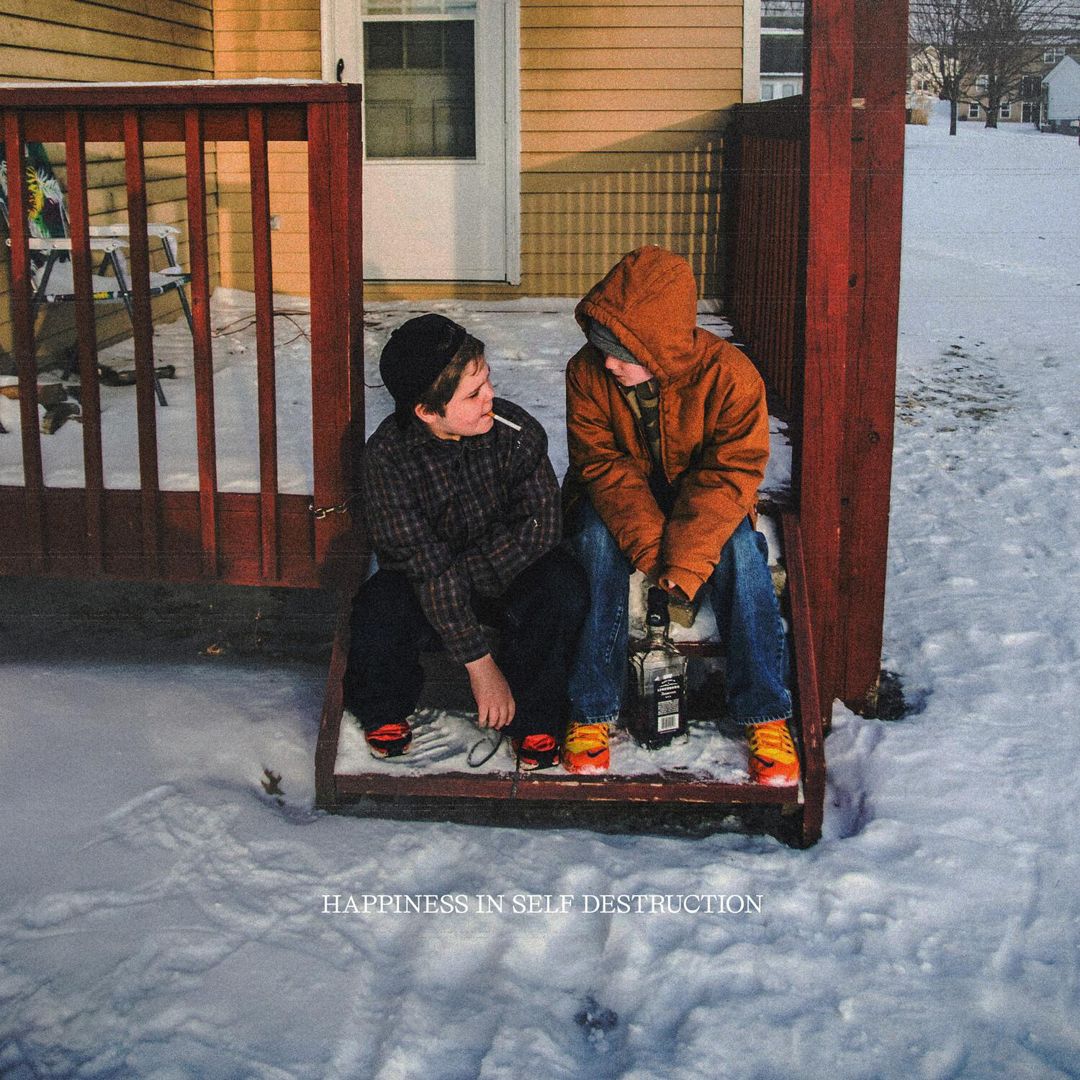 Happiness in Self Destruction cover art