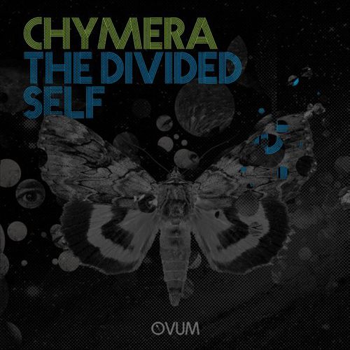 Divided Self cover art