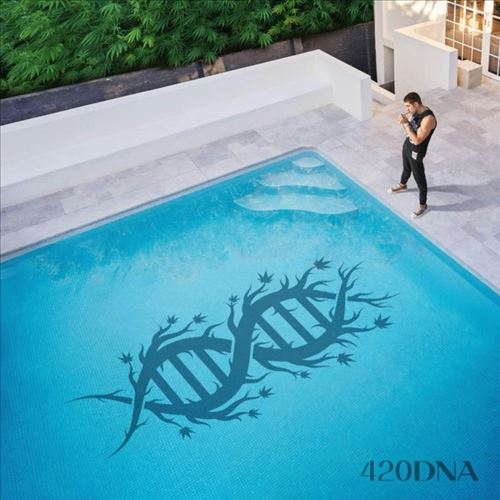 420DNA cover art