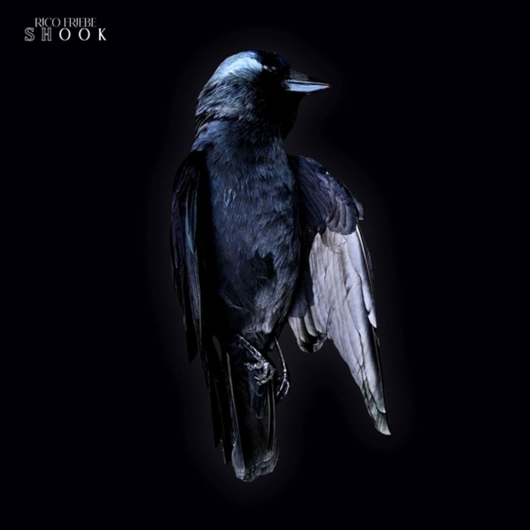 Shook cover art