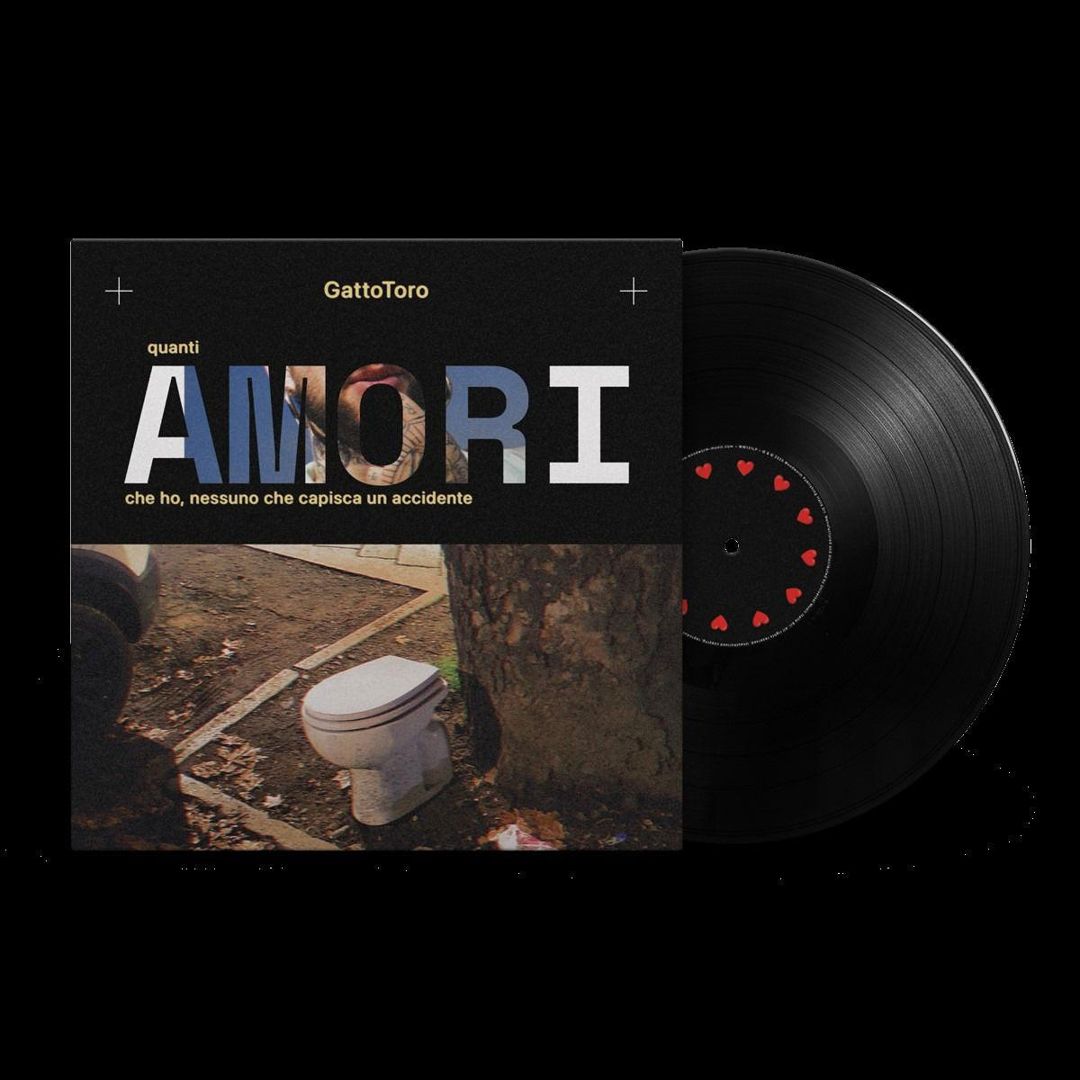 Quanti Amori Che Ho, Nessuno Che Capisca Un Accidente cover art