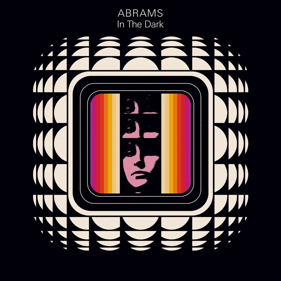 In the Dark cover art