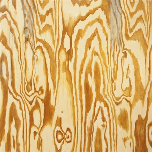 Wooden Aquarium cover art