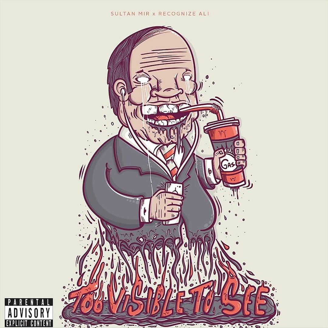 Too Visible Too See cover art