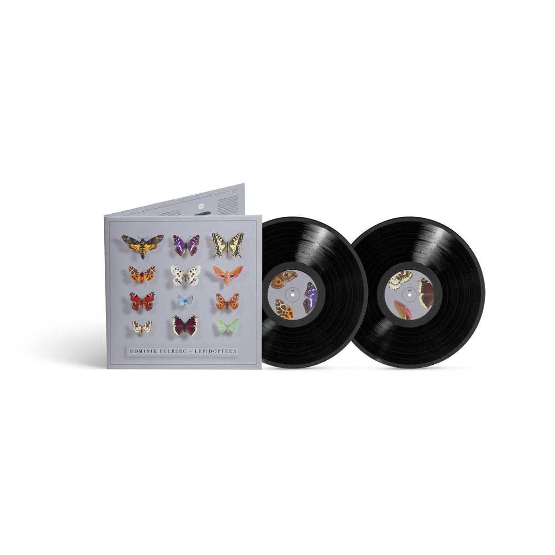 Lepidoptera cover art