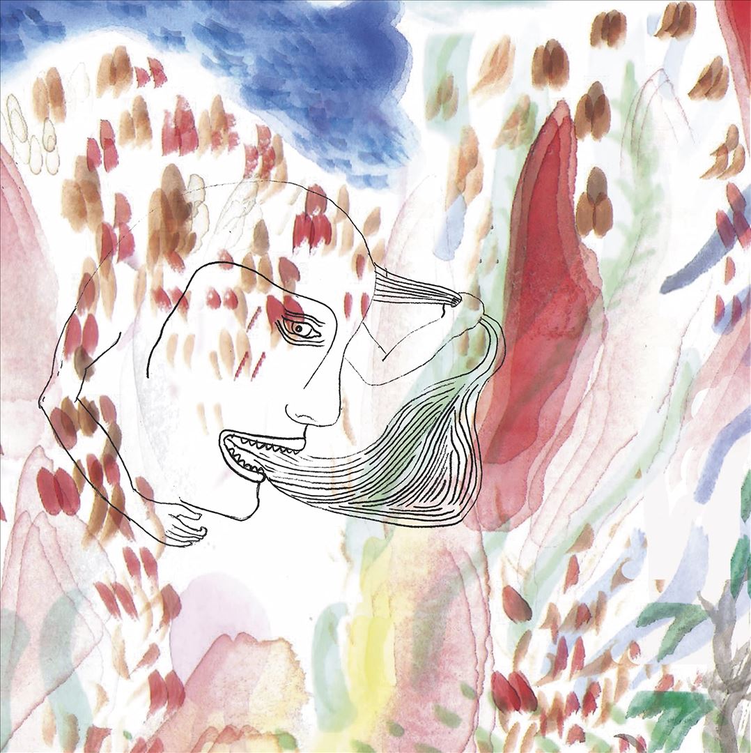 De Dreit Nien cover art
