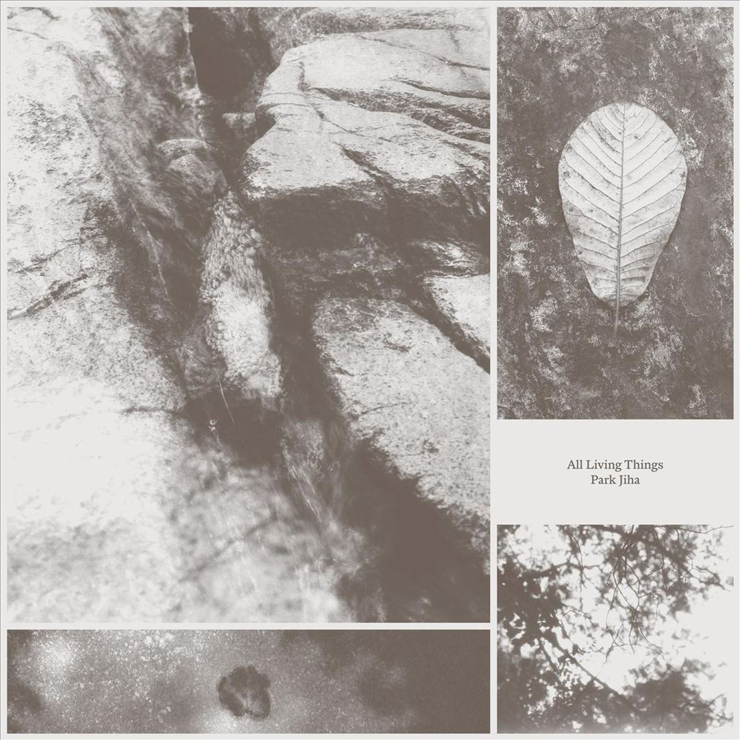 All Living Things cover art