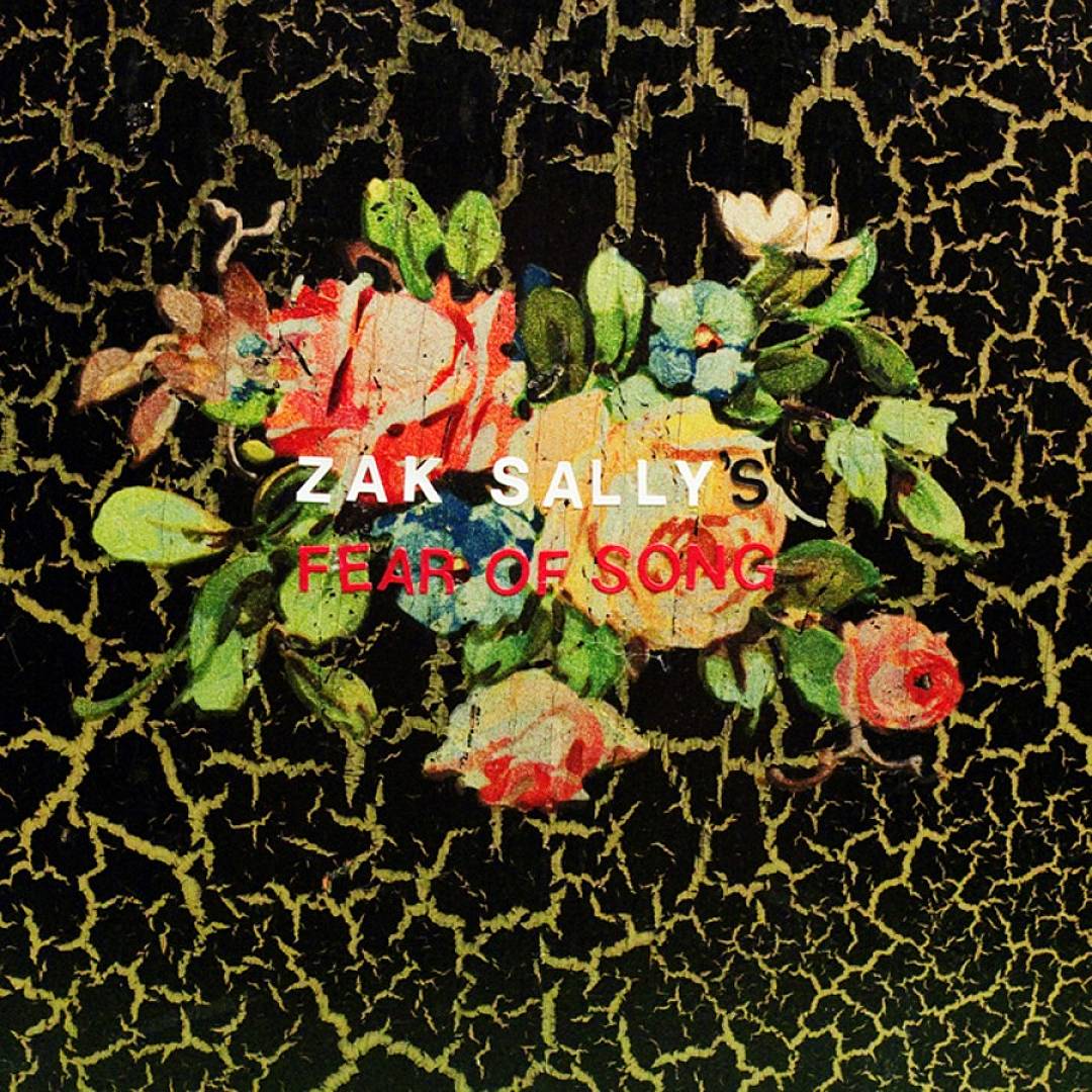 Why We Hide cover art