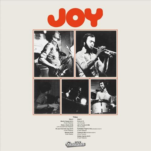 Joy cover art
