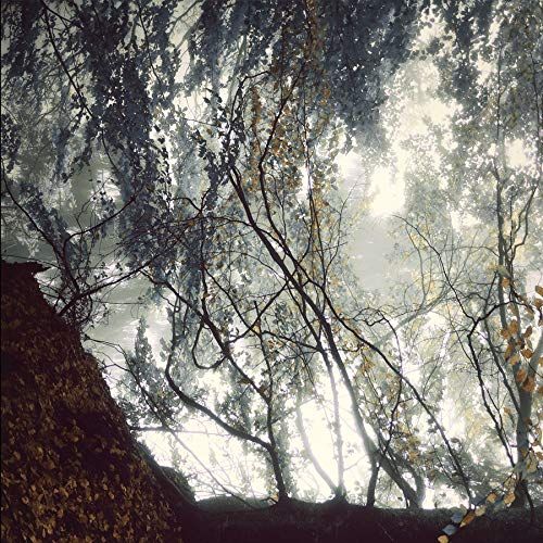 Gazing Light Eternity cover art