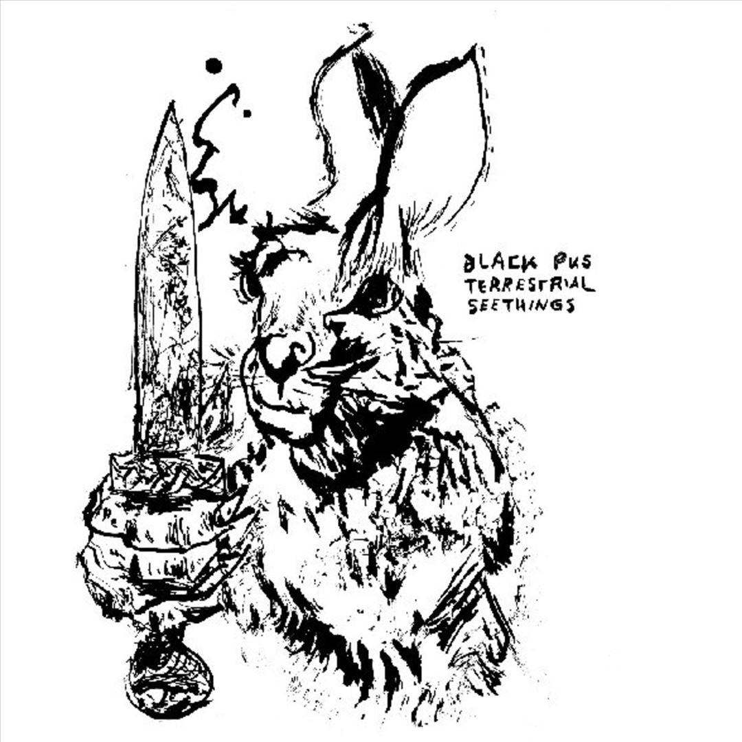 Terrestrial Seethings cover art