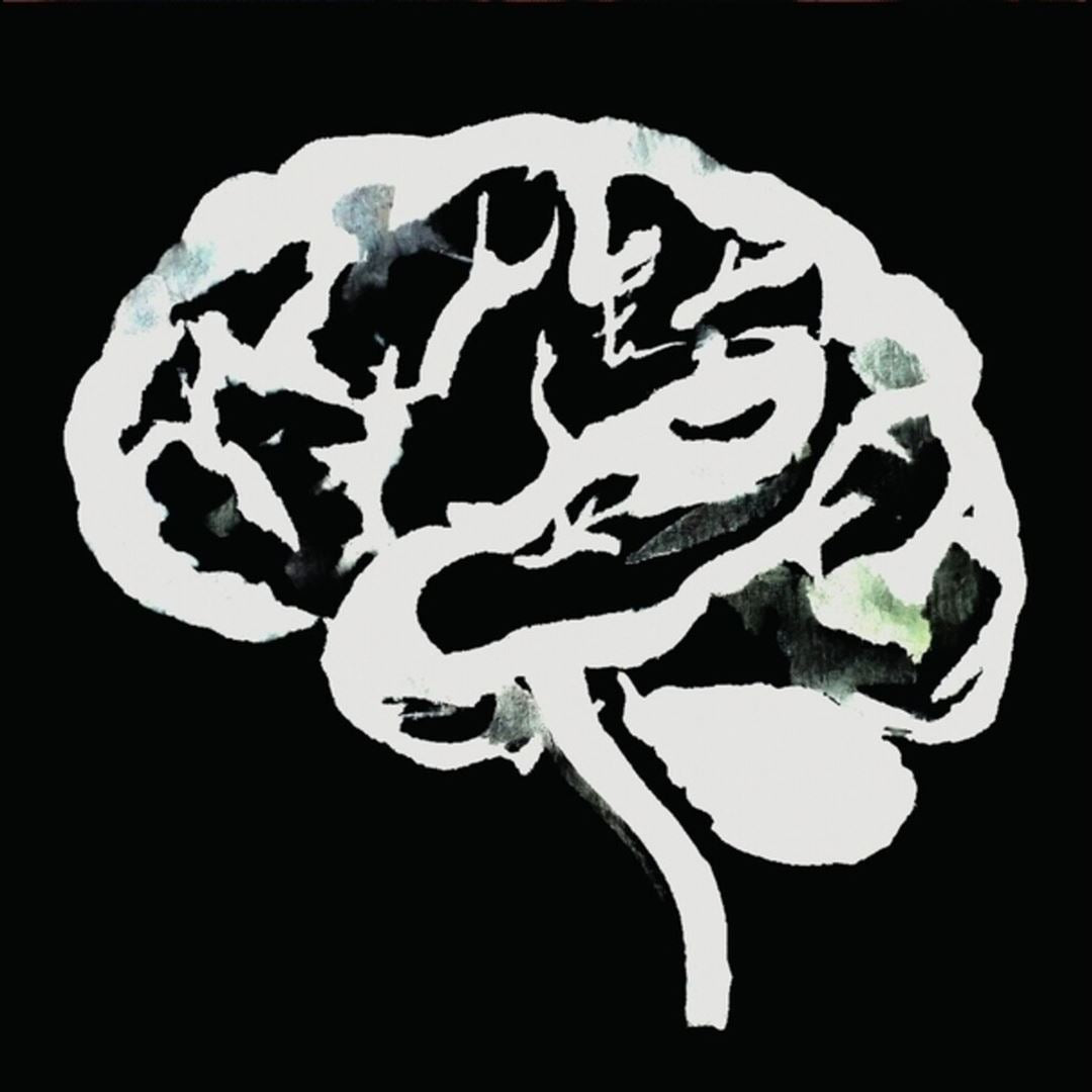 Brain Flakes cover art