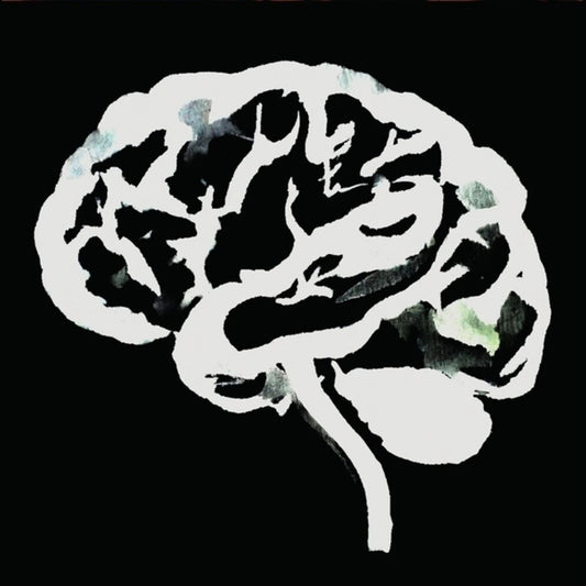 Brain Flakes cover art