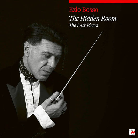 Hidden Room: The Last Pieces cover art