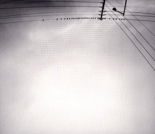 Hummingbird cover art