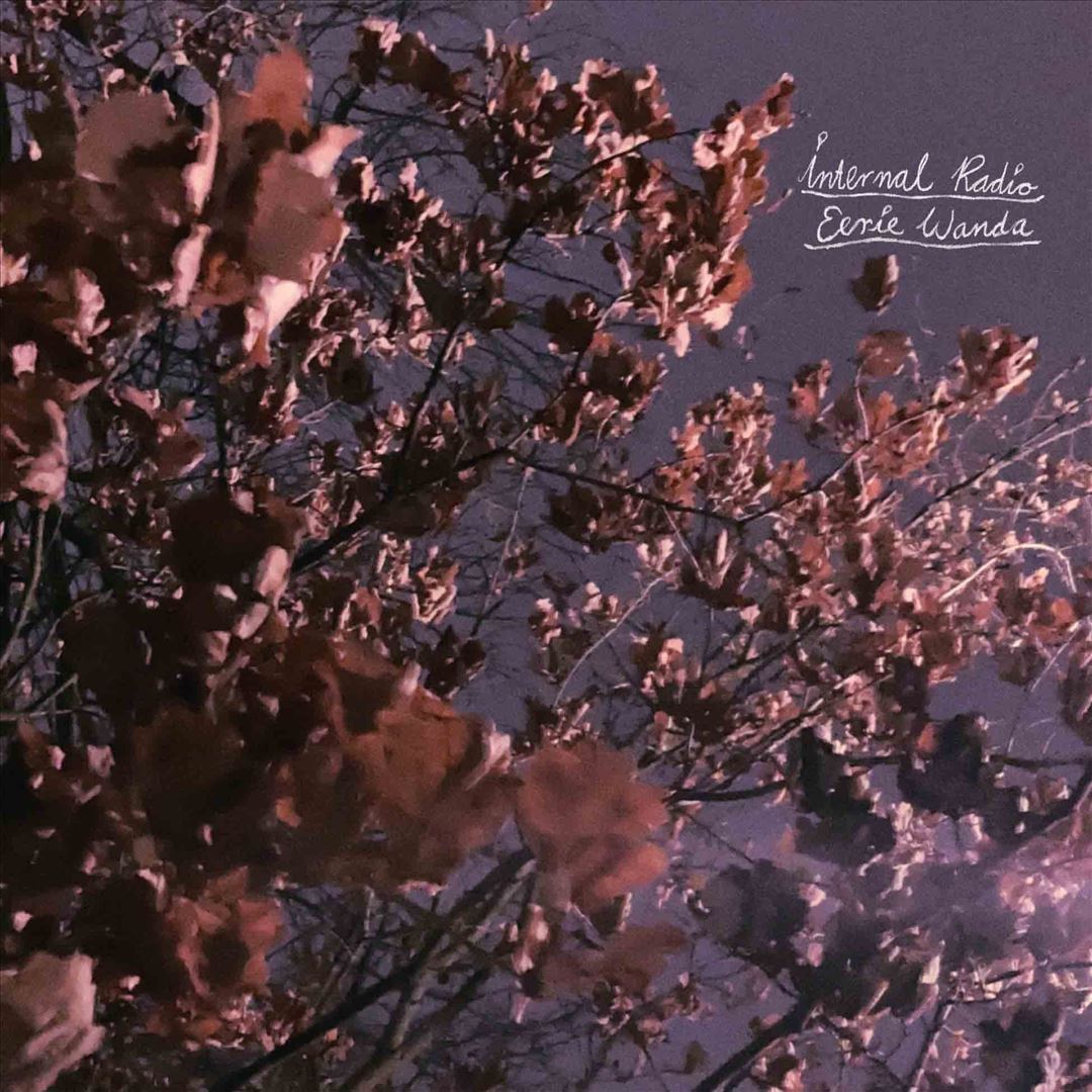 Internal Radio cover art