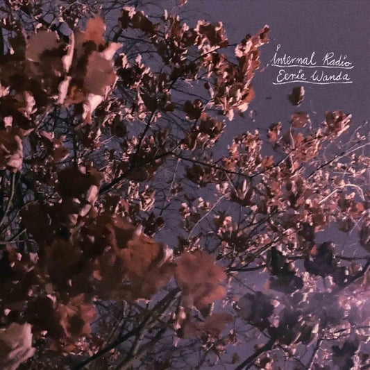 Internal Radio cover art