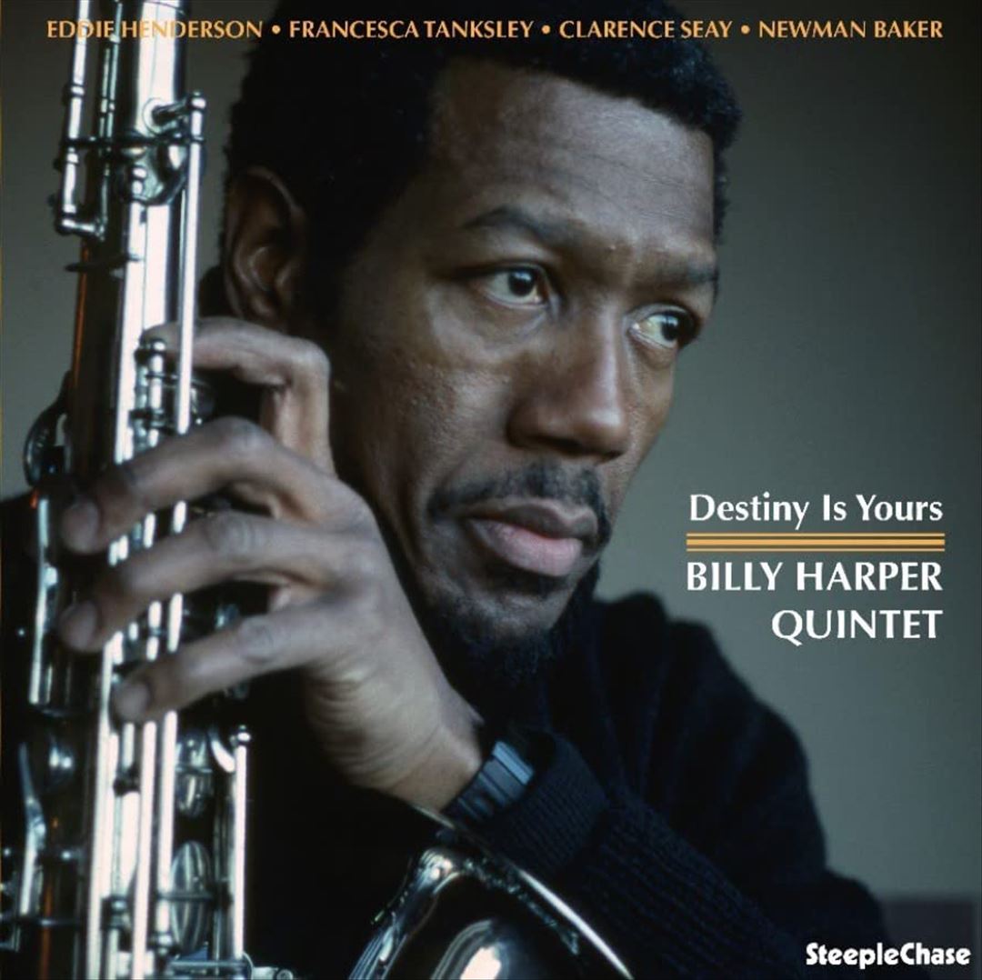 Destiny Is Yours cover art