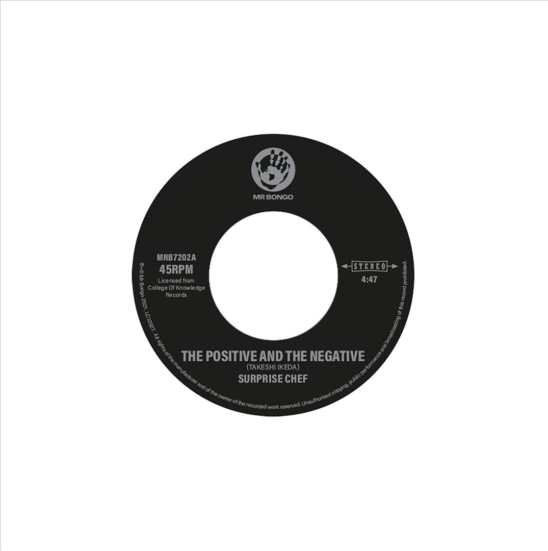Positive and the Negative cover art