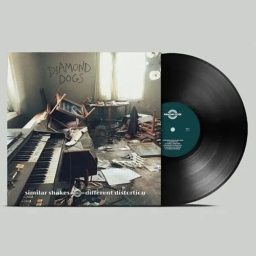 Similar Shakes Different Distortion cover art
