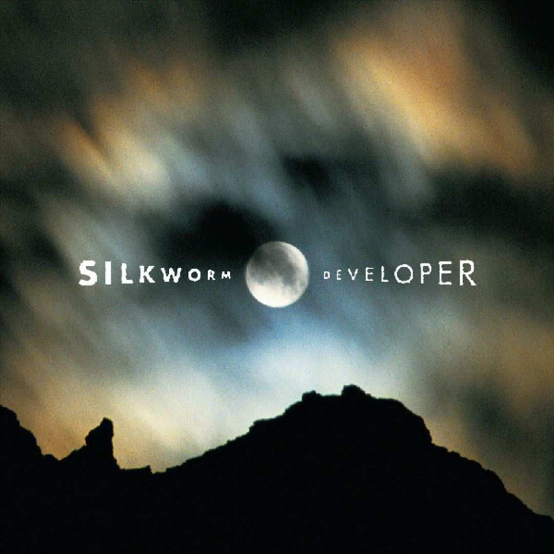 Developer cover art