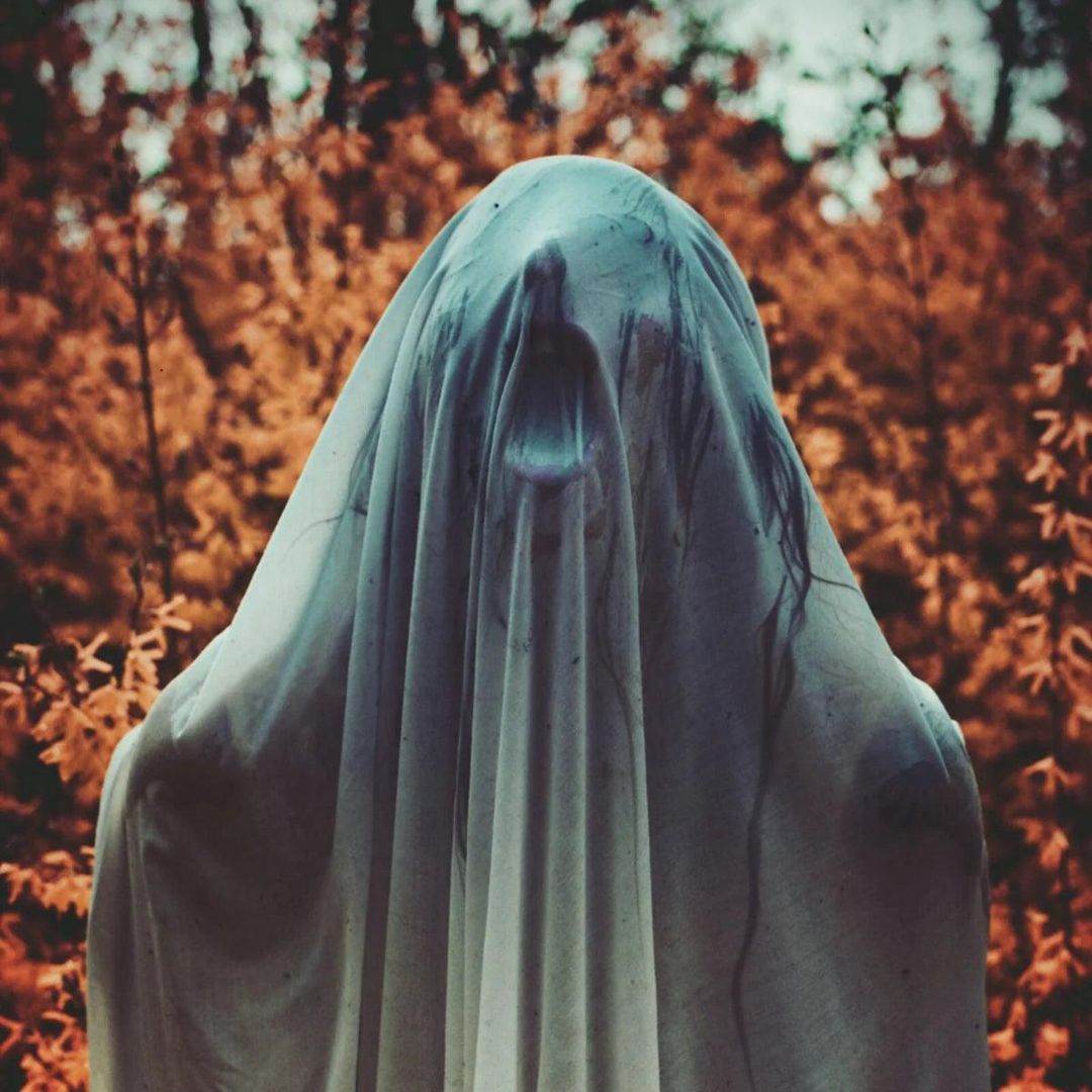 Noctambulist I : Elegieën cover art
