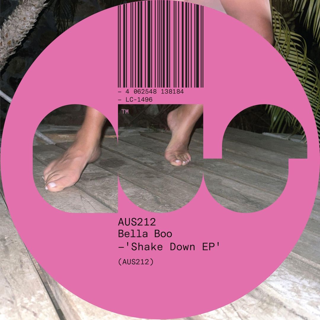 Shake Down  cover art