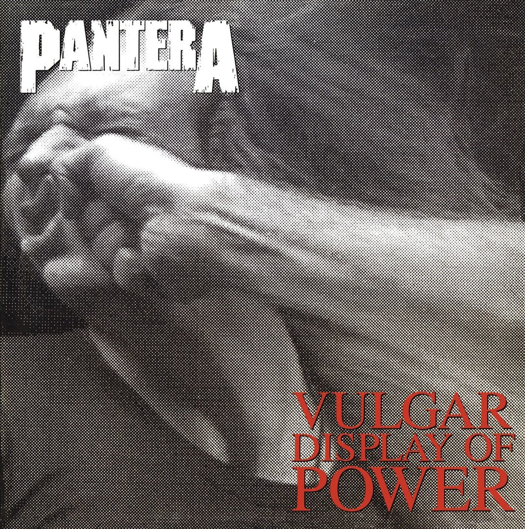 Vulgar Display of Power [Vinyl] cover art