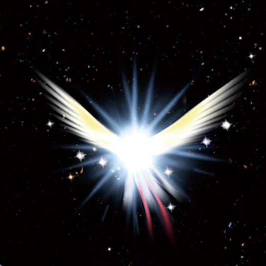 Space Bird cover art