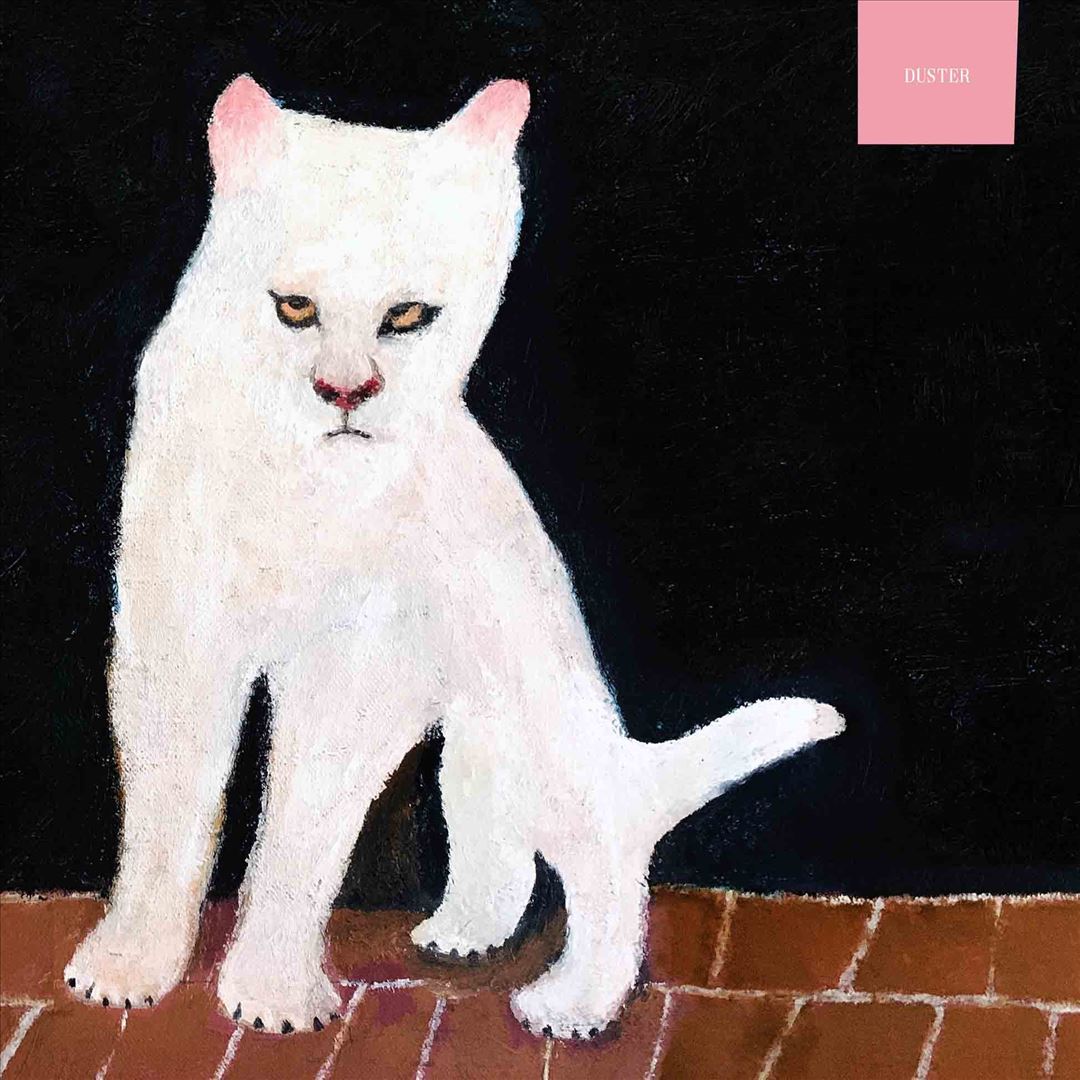 Duster cover art
