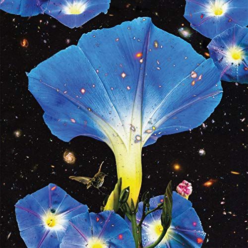 Nighttime Birds and Morning Stars cover art