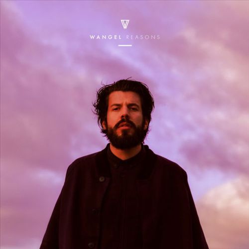 Reasons cover art