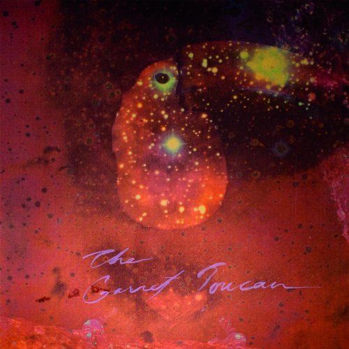 Gamet Toucan cover art