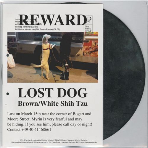 Dog cover art