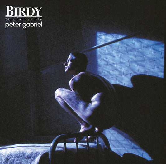 Birdy [2 x 45 RPM Vinyl LP 180 Gram] cover art