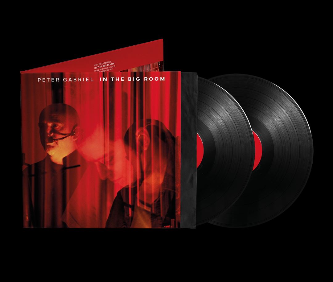 In the Big Room [180g 2 LP] cover art