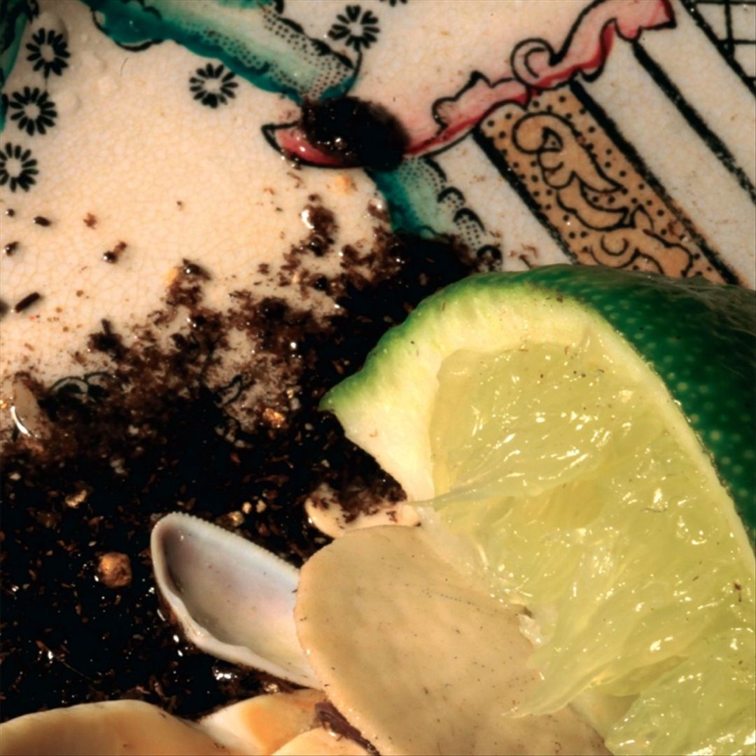 Plays Bee Mask cover art